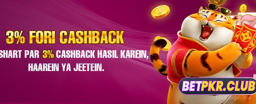 Premium Slots Games on bjbaji Platform